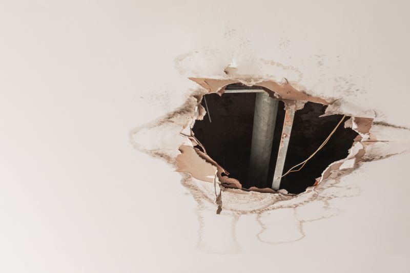 Ceiling Water Damage Repair in Conroe, TX
