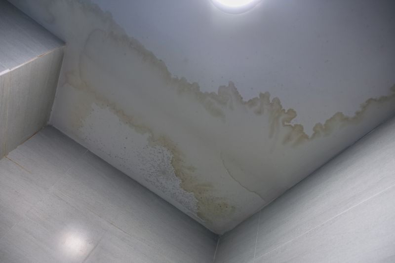 Ceiling Water Damage Repair in Alpharetta, GA